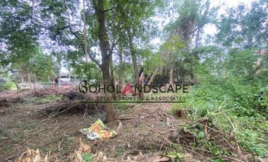 Residential Lot for Sale located in Songculan, Dauis Panglao, Bohol.