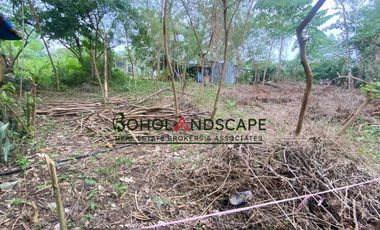 Residential Lot for Sale located in Songculan, Dauis Panglao, Bohol.