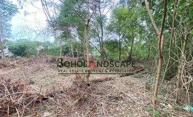 Residential Lot for Sale located in Songculan, Dauis Panglao, Bohol.