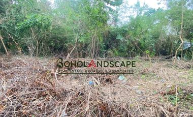 Residential Lot for Sale located in Songculan, Dauis Panglao, Bohol.