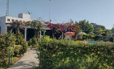 VENDO CASA DE CAMPO CON PISCINA Y HUERTO EN CHINCHA BAJA