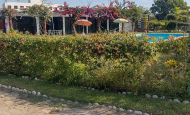 VENDO CASA DE CAMPO CON PISCINA Y HUERTO EN CHINCHA BAJA