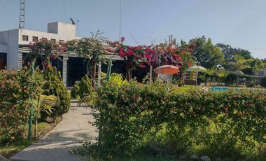 VENDO CASA DE CAMPO CON PISCINA Y HUERTO EN CHINCHA BAJA