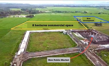 20000 SQM Lot for Rent in Masiit,Laguna