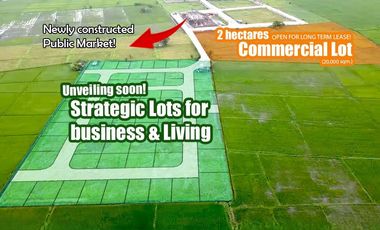 20000 SQM Lot for Rent in Masiit,Laguna