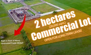 20000 SQM Lot for Rent in Masiit,Laguna