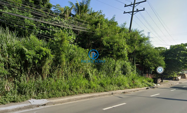 2 hectares Vacant Lot for Lease in Dasmariñas, Cavite