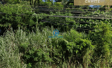 2 hectares Vacant Lot for Lease in Dasmariñas, Cavite