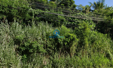 2 hectares Vacant Lot for Lease in Dasmariñas, Cavite