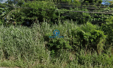 2 hectares Vacant Lot for Lease in Dasmariñas, Cavite