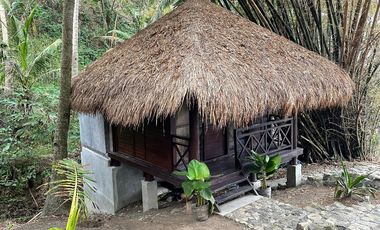 Balinese Beach House