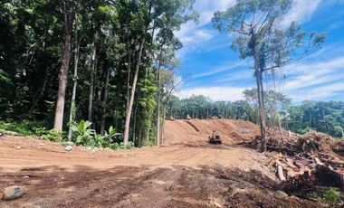 residential lot for sale in Tanay Rizal