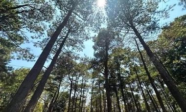 residential lot for sale in Tanay Rizal