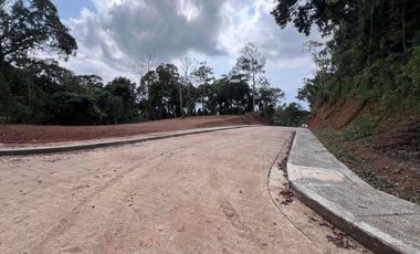 residential lot for sale in Tanay Rizal