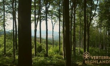 residential lot for sale in Tanay Rizal