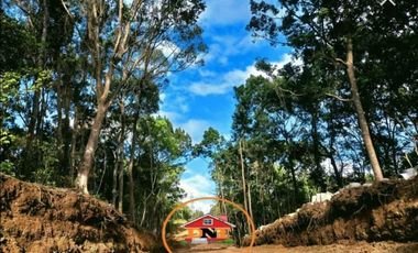 residential lot for sale in Tanay Rizal