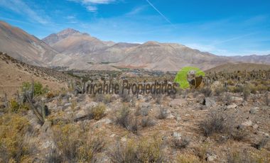 Venta de gran Parcela en sector Mamalluca (Vicuña, Valle del Elqui), 10.000 m2. $34 millones