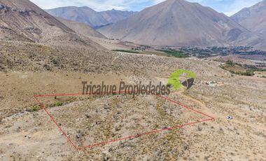 Venta de gran Parcela en sector Mamalluca (Vicuña, Valle del Elqui), 10.000 m2. $34 millones