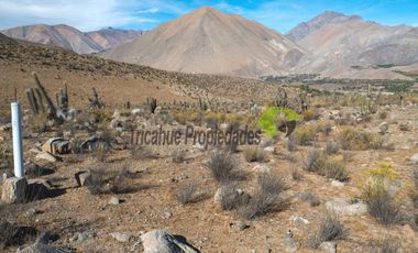 Venta de gran Parcela en sector Mamalluca (Vicuña, Valle del Elqui), 10.000 m2. $34 millones