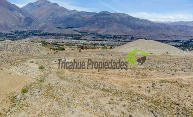 Venta de gran Parcela en sector Mamalluca (Vicuña, Valle del Elqui), 10.000 m2. $34 millones
