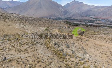 Venta de gran Parcela en sector Mamalluca (Vicuña, Valle del Elqui), 10.000 m2. $34 millones
