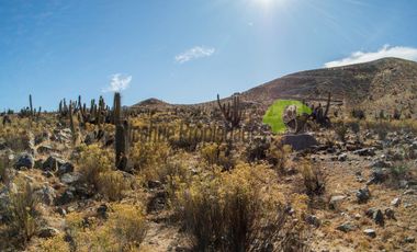 Venta de gran Parcela en sector Mamalluca (Vicuña, Valle del Elqui), 10.000 m2. $34 millones