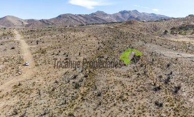 Venta de gran Parcela en sector Mamalluca (Vicuña, Valle del Elqui), 10.000 m2. $34 millones
