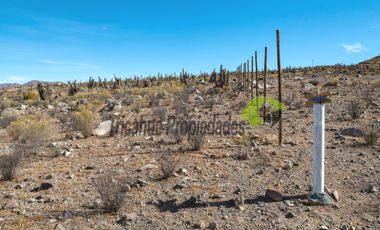 Venta de gran Parcela en sector Mamalluca (Vicuña, Valle del Elqui), 10.000 m2. $34 millones