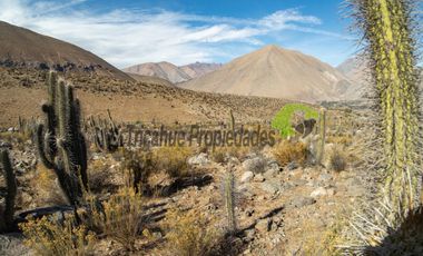 Venta de gran Parcela en sector Mamalluca (Vicuña, Valle del Elqui), 10.000 m2. $34 millones