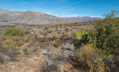 Venta de gran Parcela en sector Mamalluca (Vicuña, Valle del Elqui), 10.000 m2. $34 millones