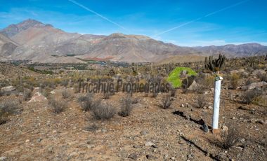 Venta de gran Parcela en sector Mamalluca (Vicuña, Valle del Elqui), 10.000 m2. $34 millones