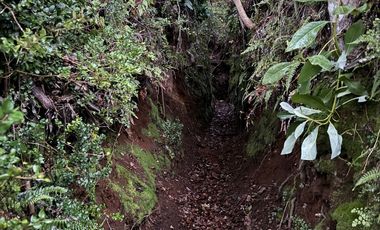 Casa en parcela ubicada a 20 minutos de Villarrica