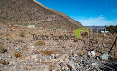 Parcela de 5.000 m2, hermosa vista. Andacollito, Valle del Elqui. $36 millones