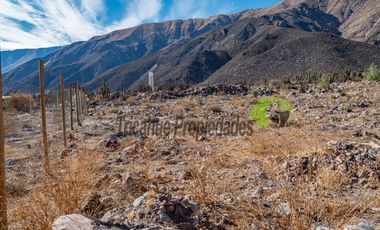 Parcela de 5.000 m2, hermosa vista. Andacollito, Valle del Elqui. $36 millones