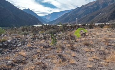 Parcela de 5.000 m2, hermosa vista. Andacollito, Valle del Elqui. $36 millones