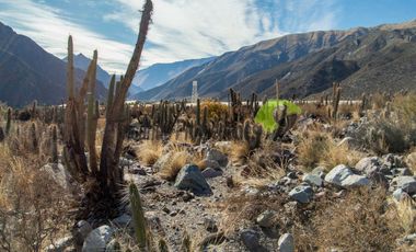 Parcela de 5.000 m2, hermosa vista. Andacollito, Valle del Elqui. $36 millones