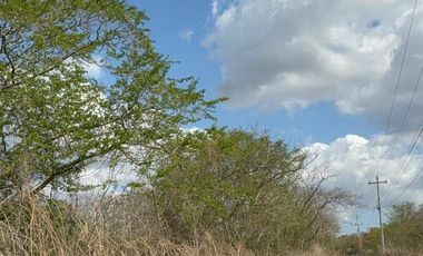 TERRENO EN VENTA EN CONKAL, YUCATÁN – 39,148 m² a $728/m²