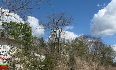 TERRENO EN VENTA EN CONKAL, YUCATÁN – 39,148 m² a $728/m²