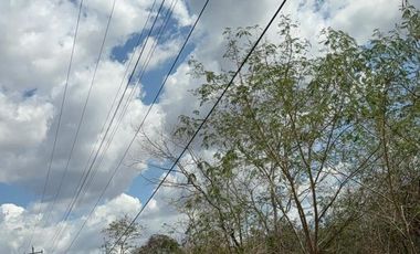 TERRENO EN VENTA EN CONKAL, YUCATÁN – 39,148 m² a $728/m²