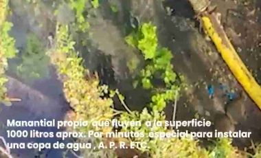 Hermosa y Gran Parcela en Malloa, Rengo.