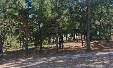 CASA EN VENTA EN CORTIJO SAN AGUSTIN, SAN AGUSTIN JALISCO