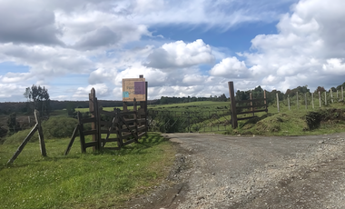 Parcela en Parque Puyehue, Rucatayo – Entorno natural, proyección y cercanía a atractivos turísticos