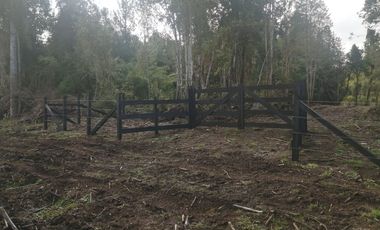 Parcela en Parque Puyehue, Rucatayo – Entorno natural, proyección y cercanía a atractivos turísticos