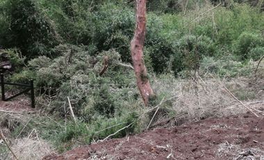 Parcela en Parque Puyehue, Rucatayo – Entorno natural, proyección y cercanía a atractivos turísticos