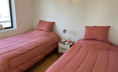 Remodelado Depto 2D 2B Bodega 206.000.000