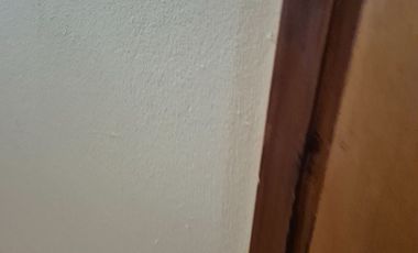 SE ARRIENDA DEPTO. EN AVDA.PEDRO MONTT DE VALPARAISO