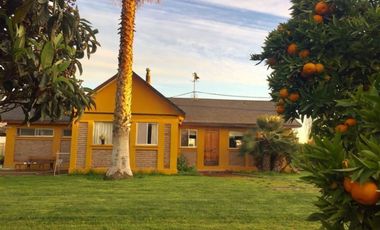 Parcela autosustentable con frutales en producción y vivienda en San Pedro, Quillota
