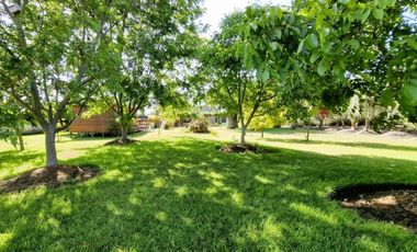 Parcela autosustentable con frutales en producción y vivienda en San Pedro, Quillota