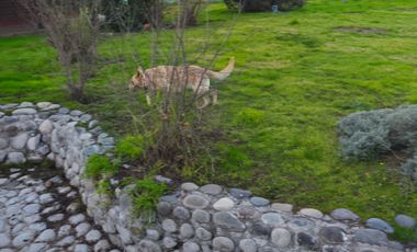 Se Arrienda Casa en Parcela SEMI-AMOBLADA – BLACK NOVEMBER 🔖