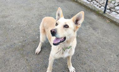 Se Arrienda Casa en Parcela SEMI-AMOBLADA – BLACK NOVEMBER 🔖